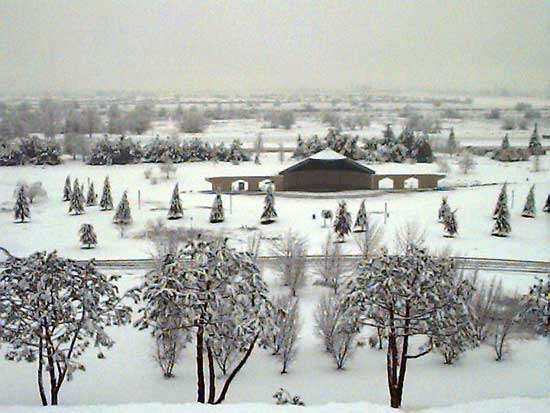 January 25, 1999: Only snow day in CSUB history