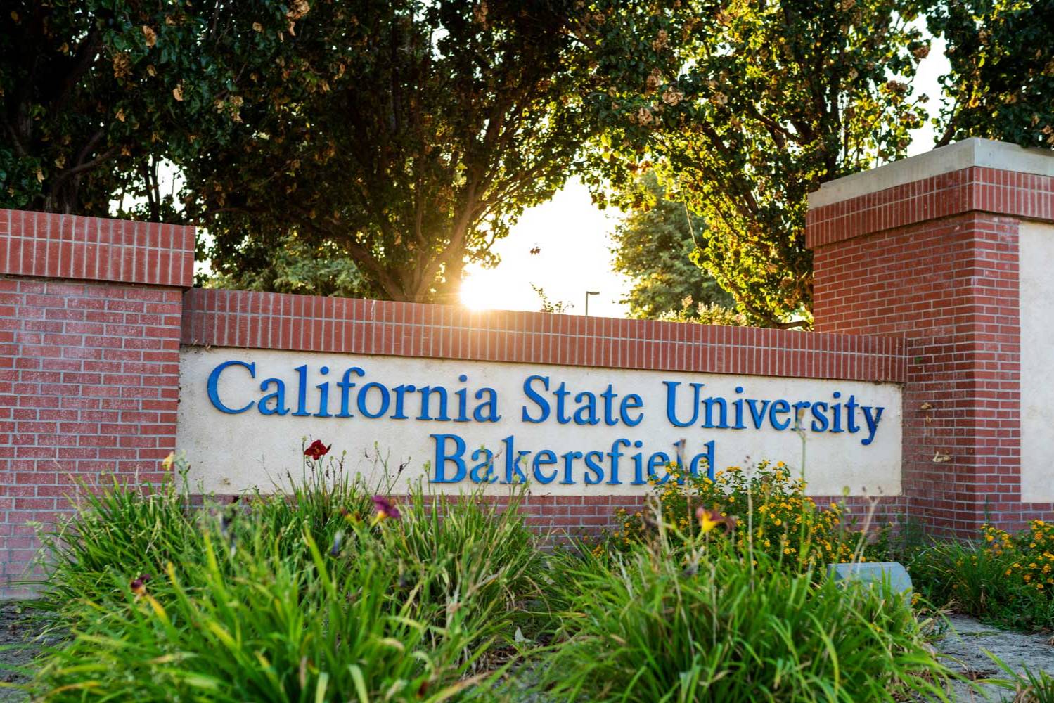 CSUB name sign