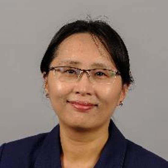 Dr. Jing  Wang