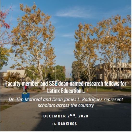 Concrete path surrounded by trees