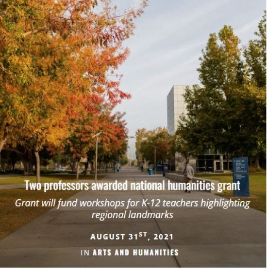 Concrete path surrounded by trees