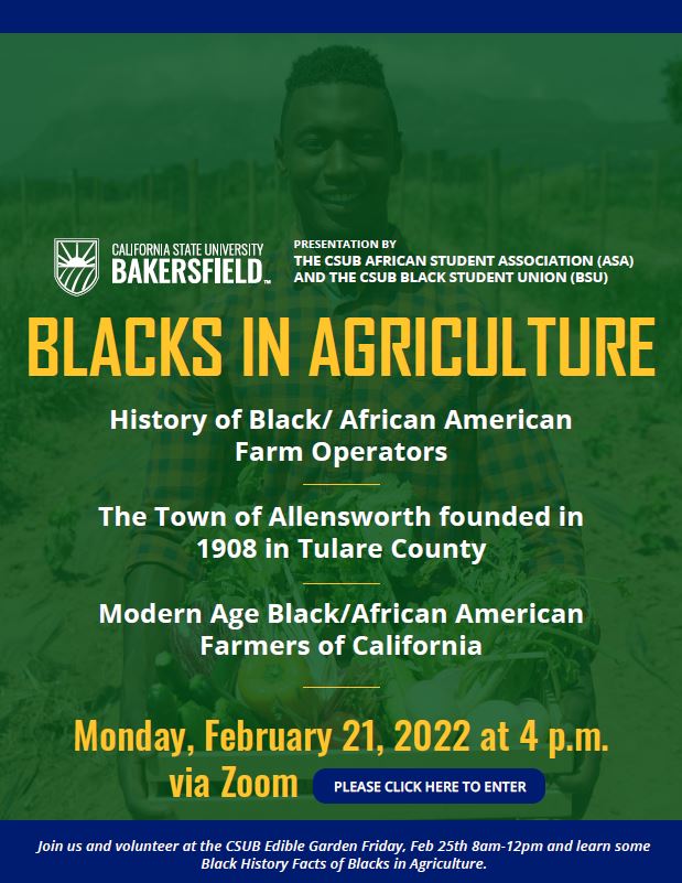 Blacks in Ag Flyer