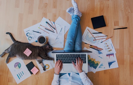 person typing on a keyboard with a cat next to them