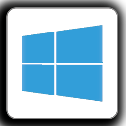 windows key