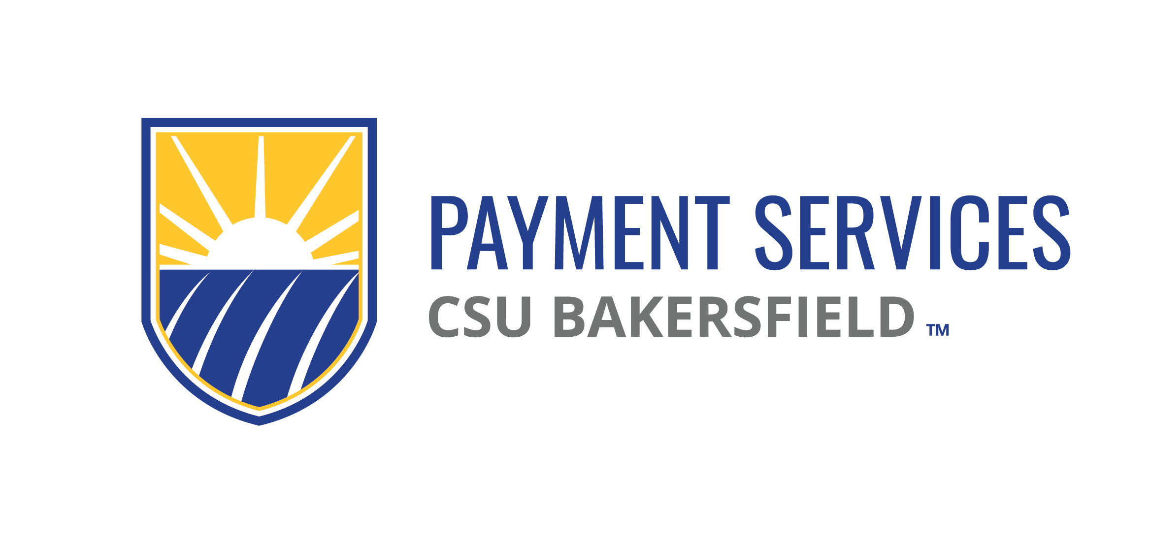Payment Services